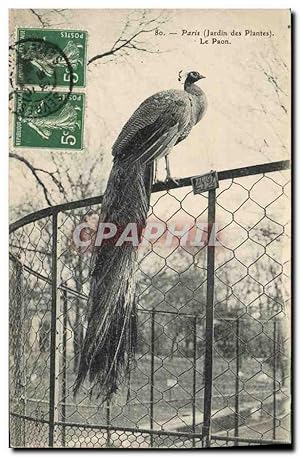 Carte Postale Ancienne Paris Jardin des Plantes Le paon