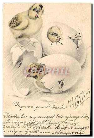 Bild des Verkufers fr Carte Postale Ancienne Poussins Oeufs zum Verkauf von CPAPHIL