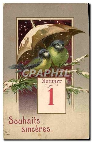Carte Postale Ancienne Oiseaux