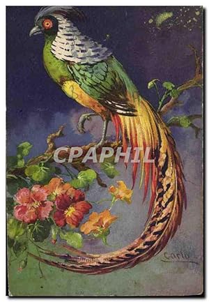 Carte Postale Ancienne Oiseau