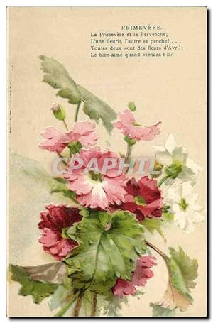 Carte Postale Ancienne Fantaisie Fleurs Primevere