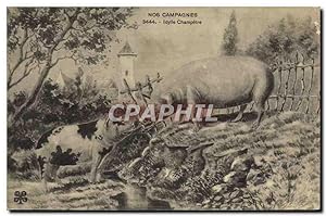 Carte Postale Ancienne Cochon Porc Idylle champetre