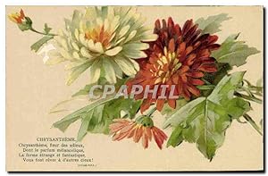 Carte Postale Ancienne Fantaisie Fleurs Chrysantheme