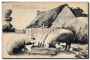 Carte Postale Ancienne Cochon Porc Ballade Ferme
