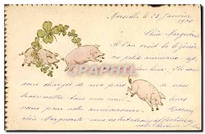 Carte Postale Ancienne Cochon Porc