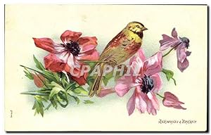 Carte Postale Ancienne Oiseau Anemones & Bruant