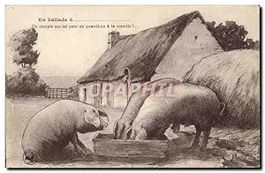 Carte Postale Ancienne Cochon Porc Ballade Ferme