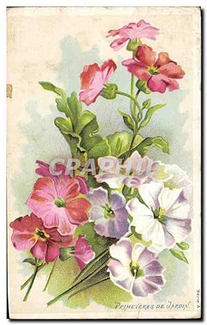 Bild des Verkufers fr Carte Postale Ancienne Fantaisie Fleurs Primeveres de jardin zum Verkauf von CPAPHIL