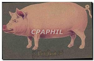 Carte Postale Ancienne Cochon Porc Porte bonheur