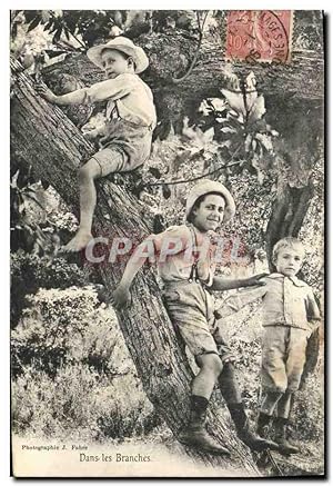 Carte Postale Ancienne Enfants Dans les branches
