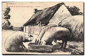 Carte Postale Ancienne Cochon Porc En ballade