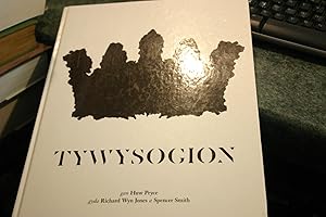 Seller image for Tywysogion for sale by SGOIS