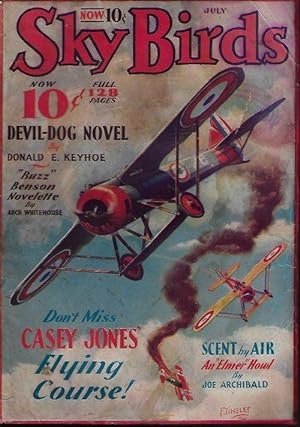 SKY BIRDS: July 1933