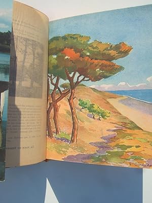Imagen del vendedor de Les iles de Saintonge et D'aunis a la venta por Domifasol