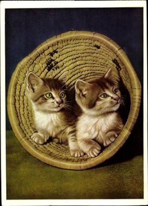 Ansichtskarte / Postkarte Hauskatzen, Katzenportrait, Kätzchen, Vorderpfoten, Korb