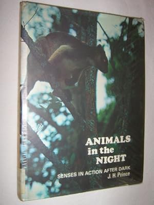 Seller image for Animals In The Night : Senses In Action After Dark for sale by Manyhills Books