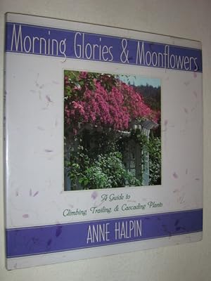 Morning Glories and Moonflowers : A Guide to Climbing, Trailing, and Cascading Plants