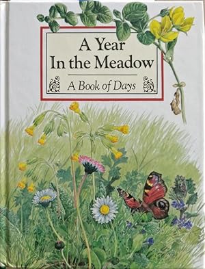 A year in the meadow