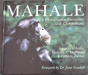 Bild des Verkufers fr Mahale: A Photographic Encounter with Chimpanzees zum Verkauf von Chapter 1