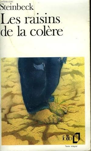 Seller image for LES RAISONS DE LA COLERE for sale by Le-Livre