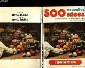 Seller image for 500 IDEES: DES TRUCS POUR LES PETITS PROBLEMES DE TOUS LES JOURS for sale by Le-Livre