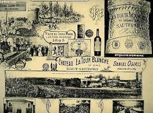 Seller image for Les grands vins de la Gironde illustrs. Chteau de la Tour Blanche. for sale by Le-Livre