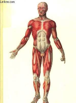 Imagen del vendedor de Anatomie photographique du corps humain a la venta por Le-Livre