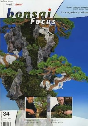 Seller image for Bonsai Focus N34 : Niveau Expert avec Kenichi Abe. Interview de Peter Warren. for sale by Le-Livre