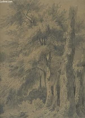 Seller image for Dessin original en noir et blanc, d'une forêt for sale by Le-Livre