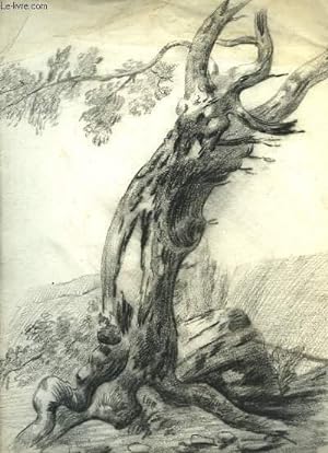 Seller image for Dessin original au fusain, d'un tronc d'arbre, penché vers la droite for sale by Le-Livre