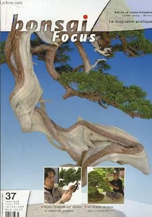 Seller image for Bonsai Focus N37 : Marco Invernizzi fait renaitre un genvrier Itogawa. Le Monde fabuleux des bonsa balinais. for sale by Le-Livre