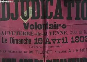1 affiche de l'Adjudication Volontaire d'un Vaste Corps d'Immeubles, situé à Sauveterre-de-Guyenn...