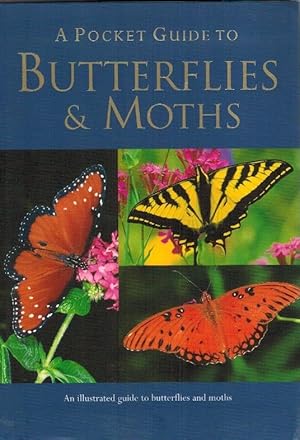 A Pocket Guide to Butterflies & Moths