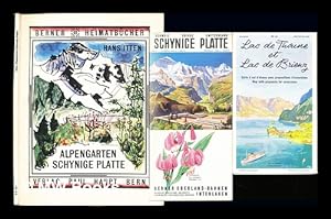 Imagen del vendedor de Der Alpengarten schynige platte a la venta por MW Books Ltd.