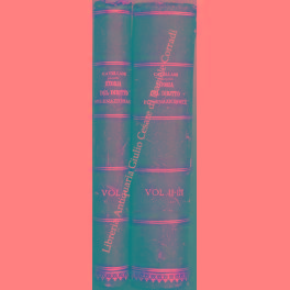 Bild des Verkufers fr Storia del diritto internazionale privato e de' suoi recenti progressi: Vol. I. Il diritto internazionale privato e i suoi recenti progressi: Vol. II parte II e vol. III (unici pubblicati) zum Verkauf von Libreria Antiquaria Giulio Cesare di Daniele Corradi