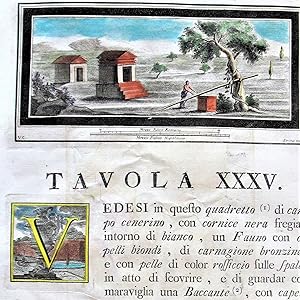 Seller image for Antique Copperplate Engravings: Tavola XXXV for sale by Ken Jackson