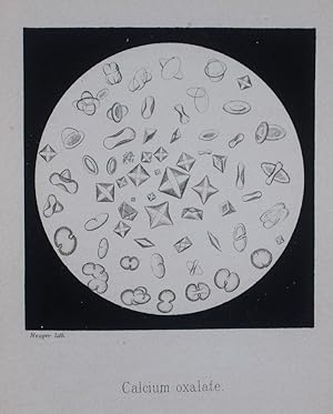 An Atlas of Clinical Microscopy