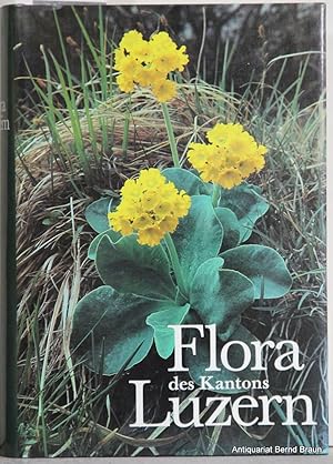 Flora des Kantons Luzern unter Berücksichtigung von Rigi, Bürgenstock, Lopper, Pilatus sowie der ...