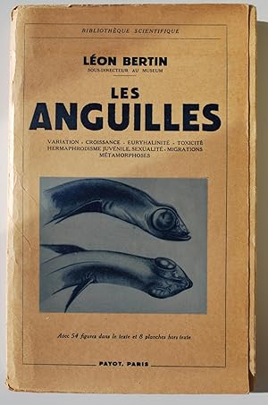 Les anguilles