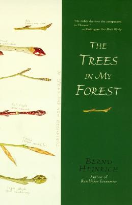 Seller image for The Trees in My Forest (Paperback or Softback) for sale by BargainBookStores