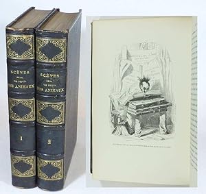 I: Scènes de la vie privée et publique des animaux. Vignettes par Grandville. Études de moeurs co...