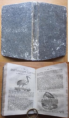 Seller image for Biblische Naturgeschichte fr Schulen und Familien. for sale by Antiquariat Roland Ggler