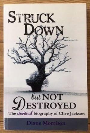 Seller image for STRUCK DOWN BUT NOT DESTROYED for sale by Happyfish Books