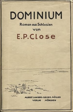 Dominium Roman aus Schlesien Sturm und Sammlung Bücher Deutscher Dichter
