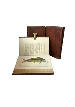 Image du vendeur pour Ichtyologie, ou Histoire Naturelle, Generale et Particuliere des Poissons. Avec des figures enluminees, dessinees d'apres nature [Parts I-VI] mis en vente par Symonds Rare Books Ltd