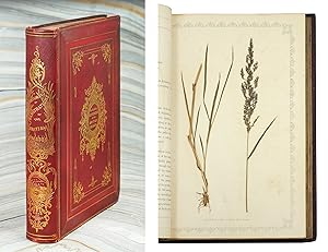 Image du vendeur pour Natural Illustrations of the British Grasses. mis en vente par John Windle Antiquarian Bookseller, ABAA