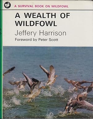 Seller image for A WEALTH OF WILDFOWL. Jeffery Harrison. A Survival Book. for sale by Coch-y-Bonddu Books Ltd