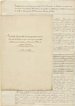 [AUTOGRAPH MANUSCRIPT OF Tratado elemental teórico-practico de los Cónsules de España en paises e...