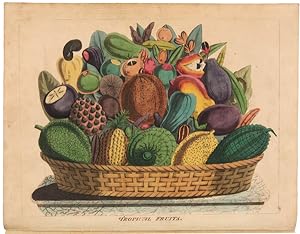 SKETCHES TOWARDS A HORTUS BOTANICUS AMERICANUS; OR, COLOURED PLATES (WITH A CATALOGUE AND CONCISE...