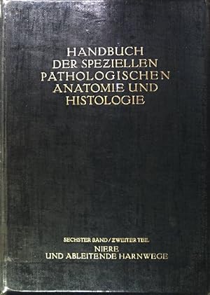 Harnorgane, männliche Geschlechtsorgane. Handbuch der speziellen pathologischen Anatomie und Hist...